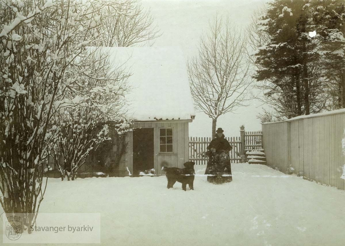 Kvinne og hund i den snødekte hagen.