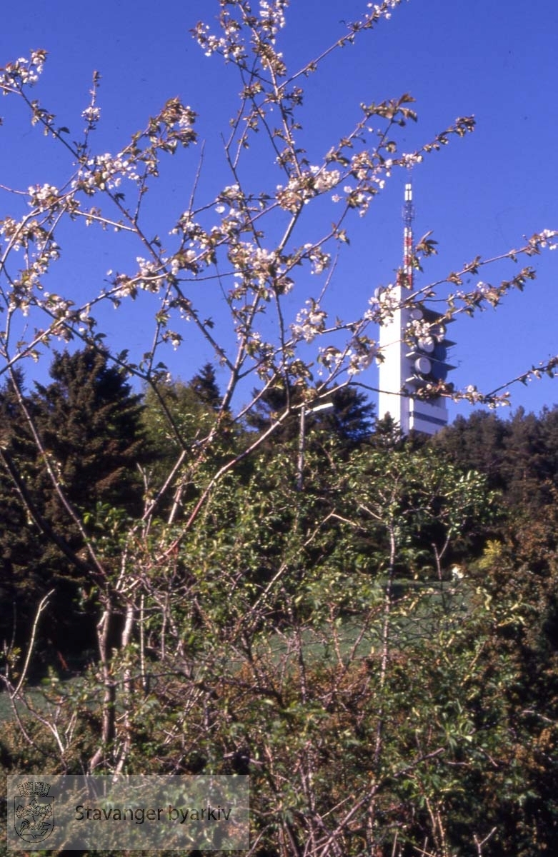 Ullandhaugtårnet