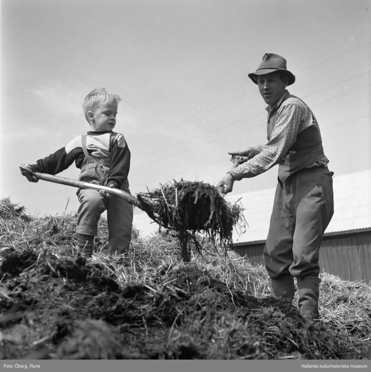 Tage Börjesson, en granne, och komminister Starkes lille son Ingemar lastar gödsel.