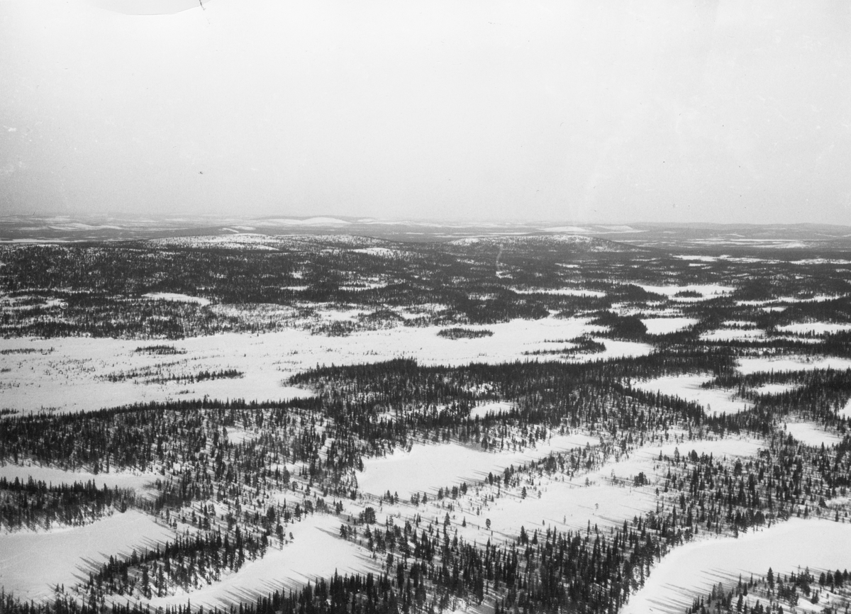 Flygfotografi av landskap i norra Finland under finska vinterkriget, 1940. Spaningsbild över skog tagen av flygare vid F 19, Svenska frivilligkåren i Finland.