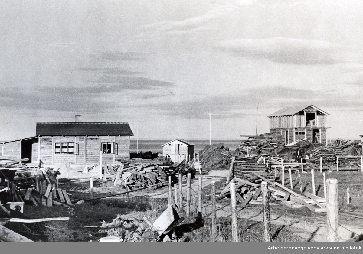 Hus bygget av flyplassviller i Berlevåg, 1946. Bilde fra arbeiderdelagsjonens tur til Finnmark og Nord- Troms, Opplysningskomiteen for gjenreisningsarbeidet. Medlemmene av komiteen var klubbformenn fra ulike store bedrifter på studietur.