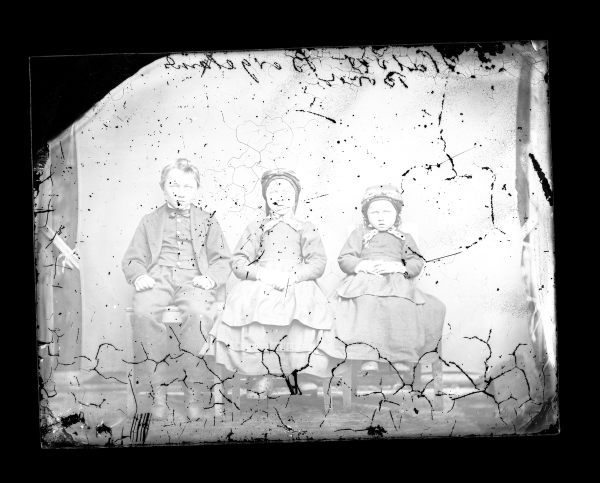 Fotosamling etter fotograf Knut Aslaksen Berdal. f. 1829 Einlaugdalen Vinje, d. 21.01.1895.  Gruppeportrett tre barn i folkedrakt