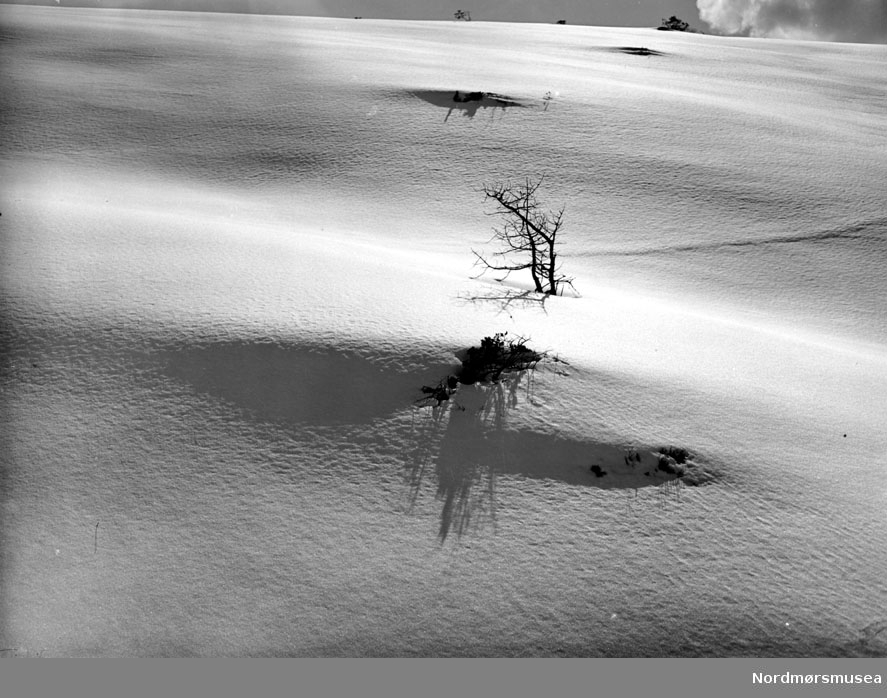 Fjell. skispor i snø. vinter. 
Datering er ukjent, men trolig omkring 1950 til 1960. Fra Nordmøre museums fotosamlinger, Myren-arkivet