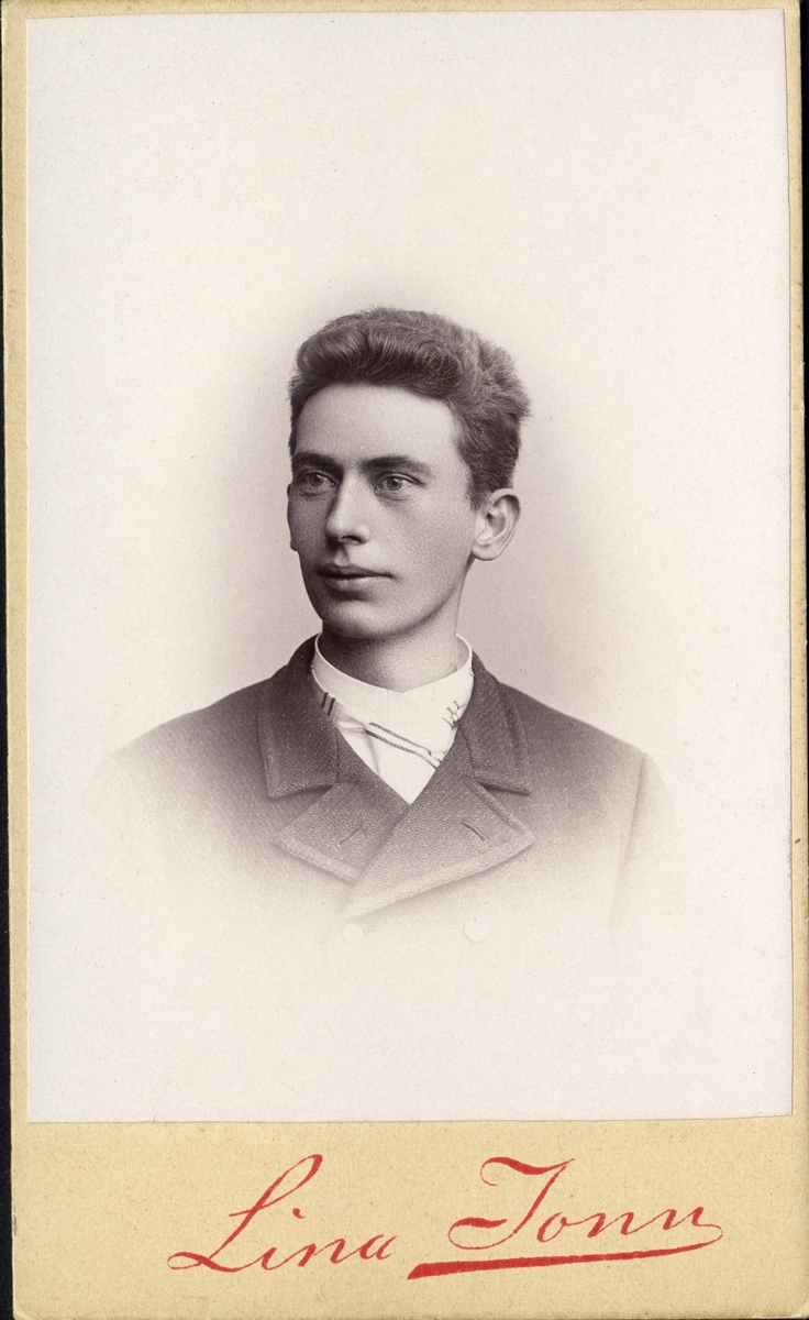 Porträttfoto av en ung man i kostym och ljus, randig kravatt (slips).
Bröstbild, halvprofil. Ateljéfoto.
På baksidan står bl a: "Sven Alv, d. 27/2 1894".