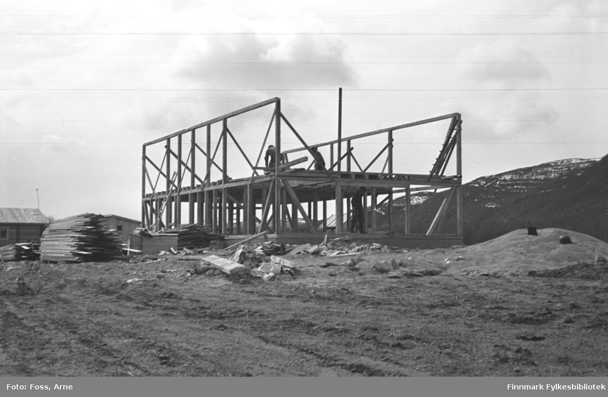 Et nytt fjøs eller en låve er under bygging, i Tana området i mai-juni 1947.