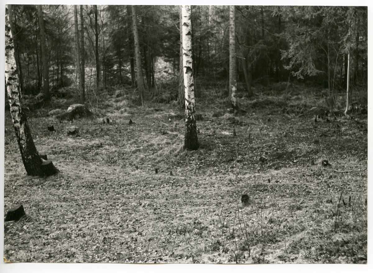 Köping sn, Norsa.
Norsa RAÄ 131, grav 1. Norsa före den arkeologiska undersökningen. 1964.