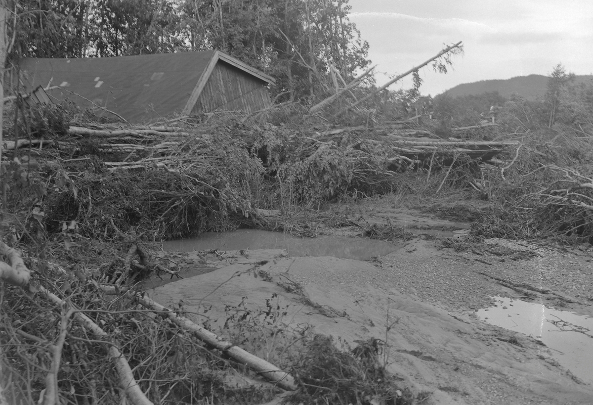 Flommen i Gaula 1940 - Hovin
