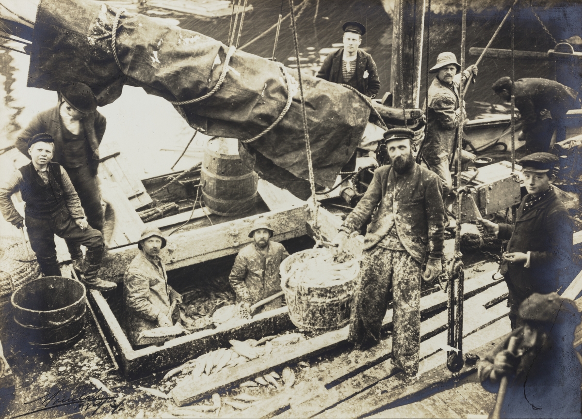 Garnsildskjøyte under vårsildfisket på Haugesunds havn, ca. 1905.