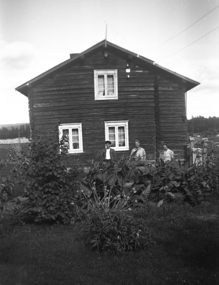 Våningen og hagen i N.Bråten, Bjølset

26.08.1945
