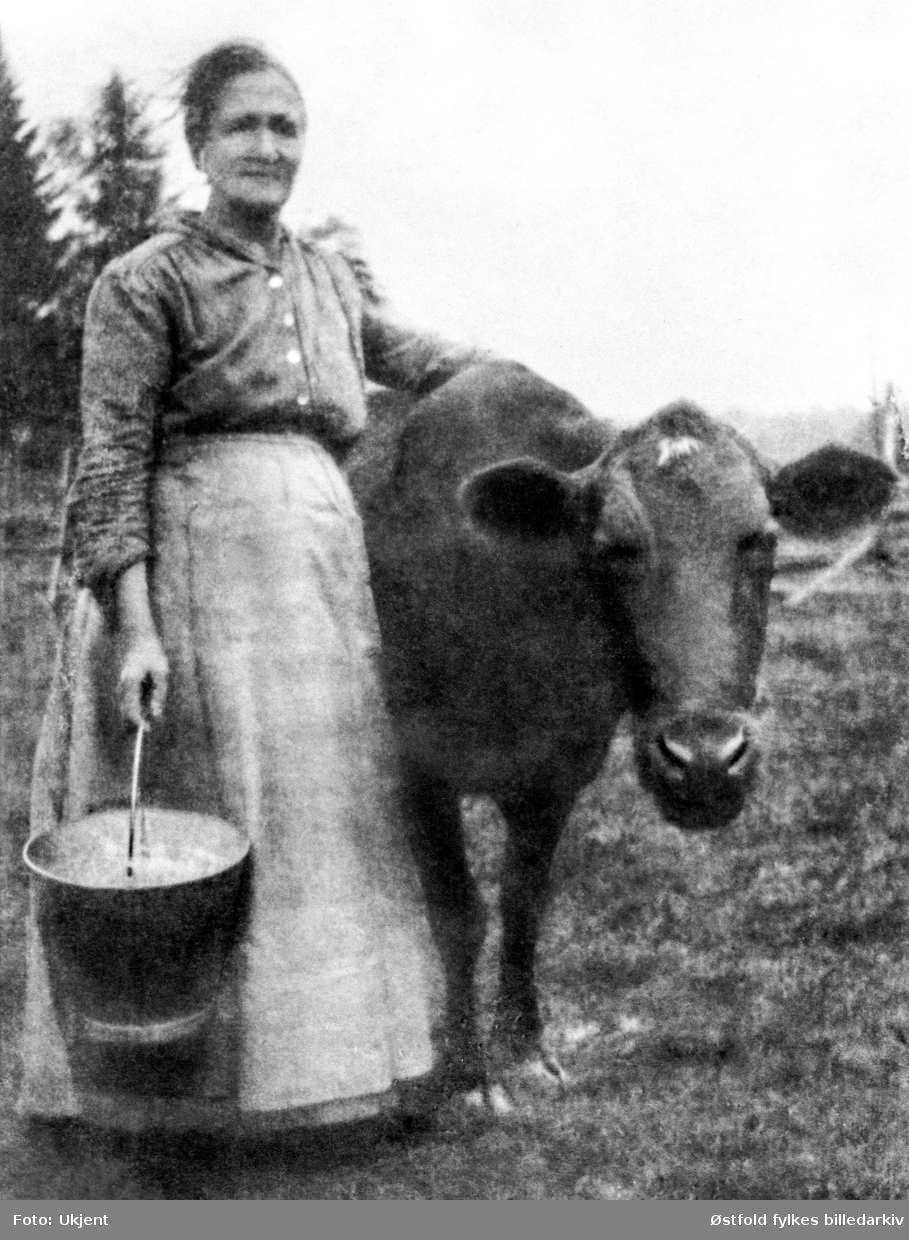 Olava Riiser under sommermelking på gården Daler i Hobøl ca. 1900.

Alette Olava Evensdatter (1849‒1941) ble født på Mjærum i Hobøl. Hun giftet seg med Ole Jørgen Riiser (1853‒1937) i 1875. Da hun døde i 1941, etterlot hun seg tre barn.

Fotografiet er tatt på gården Daler. Olava og Ole Jørgen kjøpte eiendommen etter at de giftet seg, og bodde på Daler frem til de overtok gården Riiser i 1907.