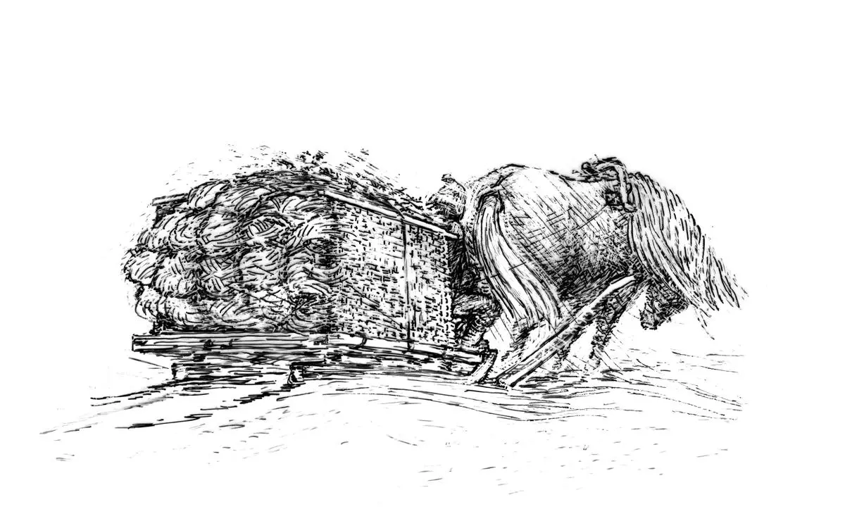 RMU.T.005384