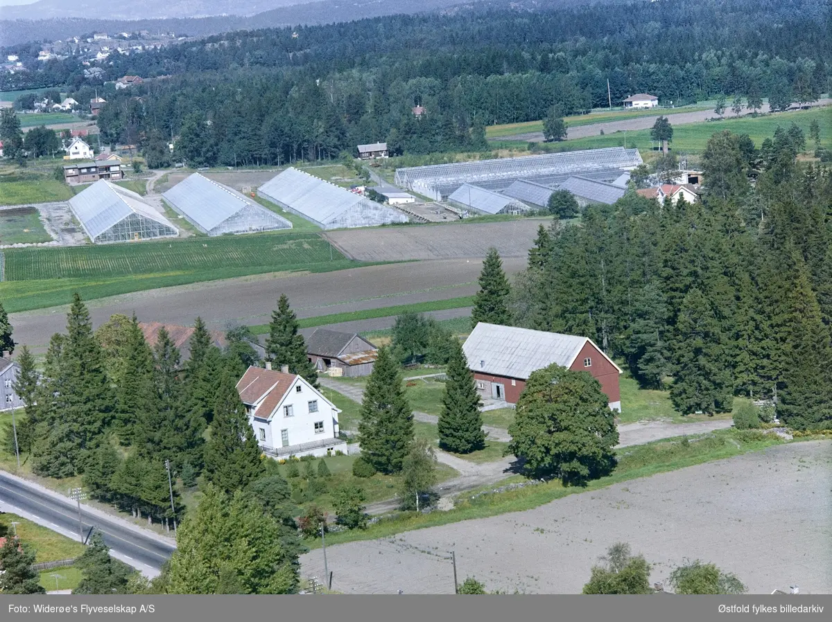 Oversiktsbilde over gården Granum med et gartneri i bakgrunnen i Rygge i 1964.