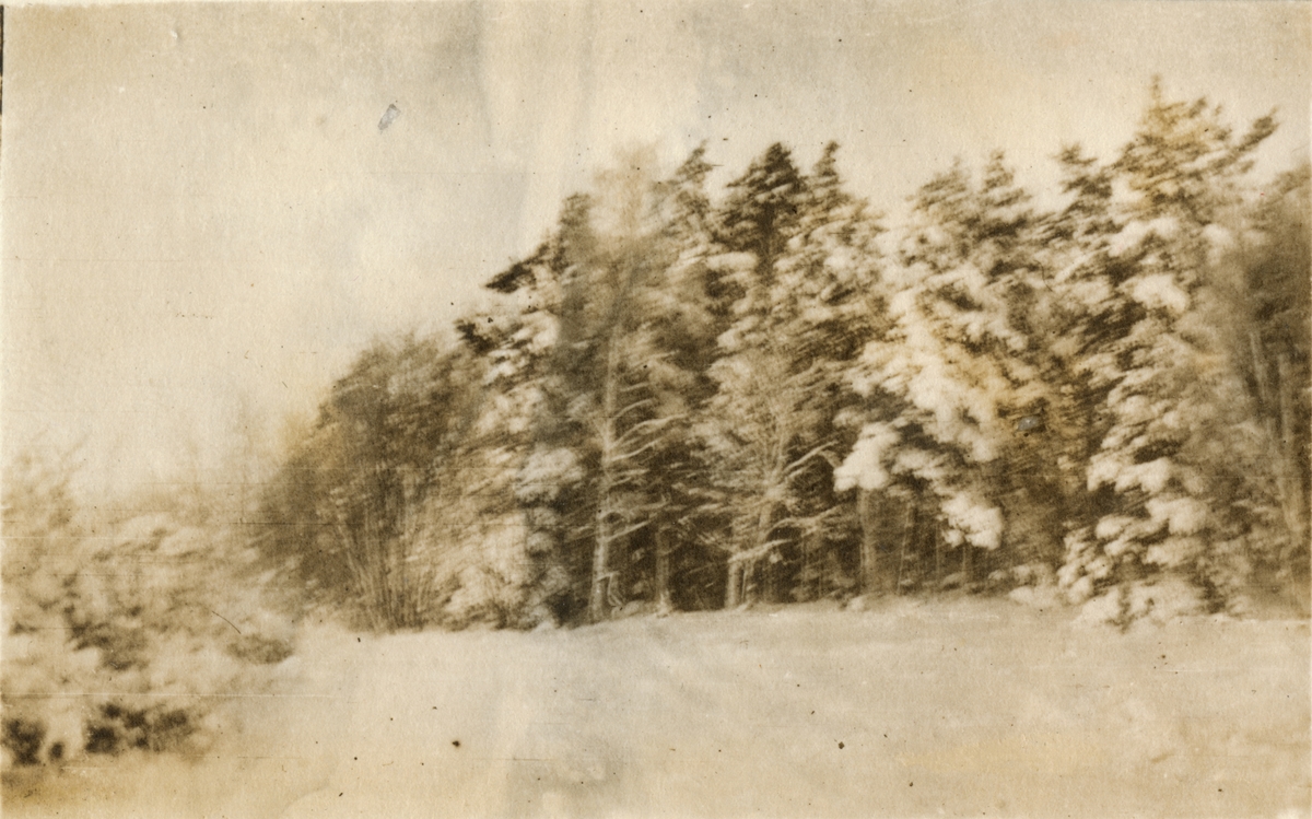 Vinterlandskap, fotografi tagit i samband med vinterövningar för elever på Krigsskolan Karlberg, troligen i Åre.