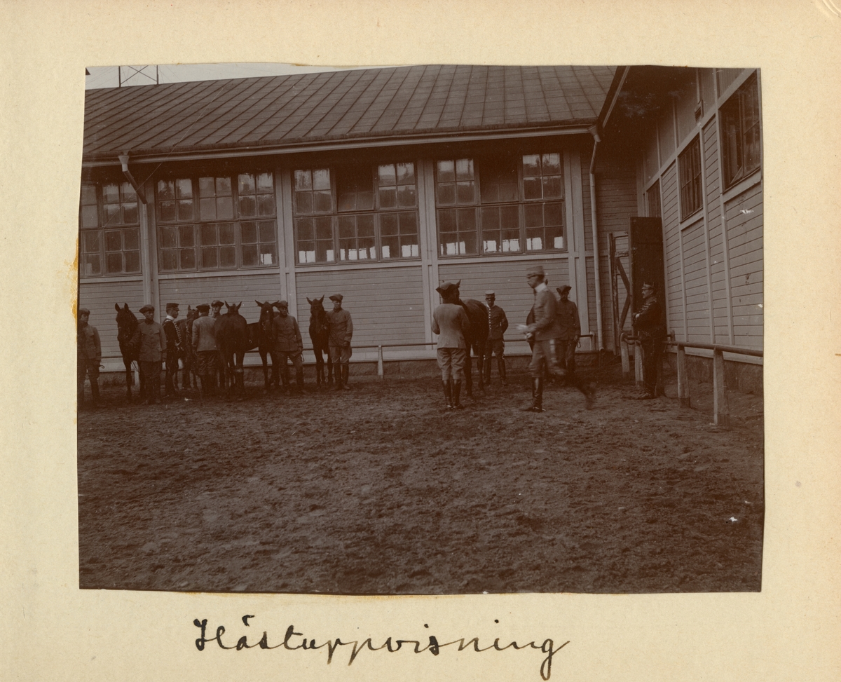 Hästuppvisning på Kavalleriskolan i Umeå.