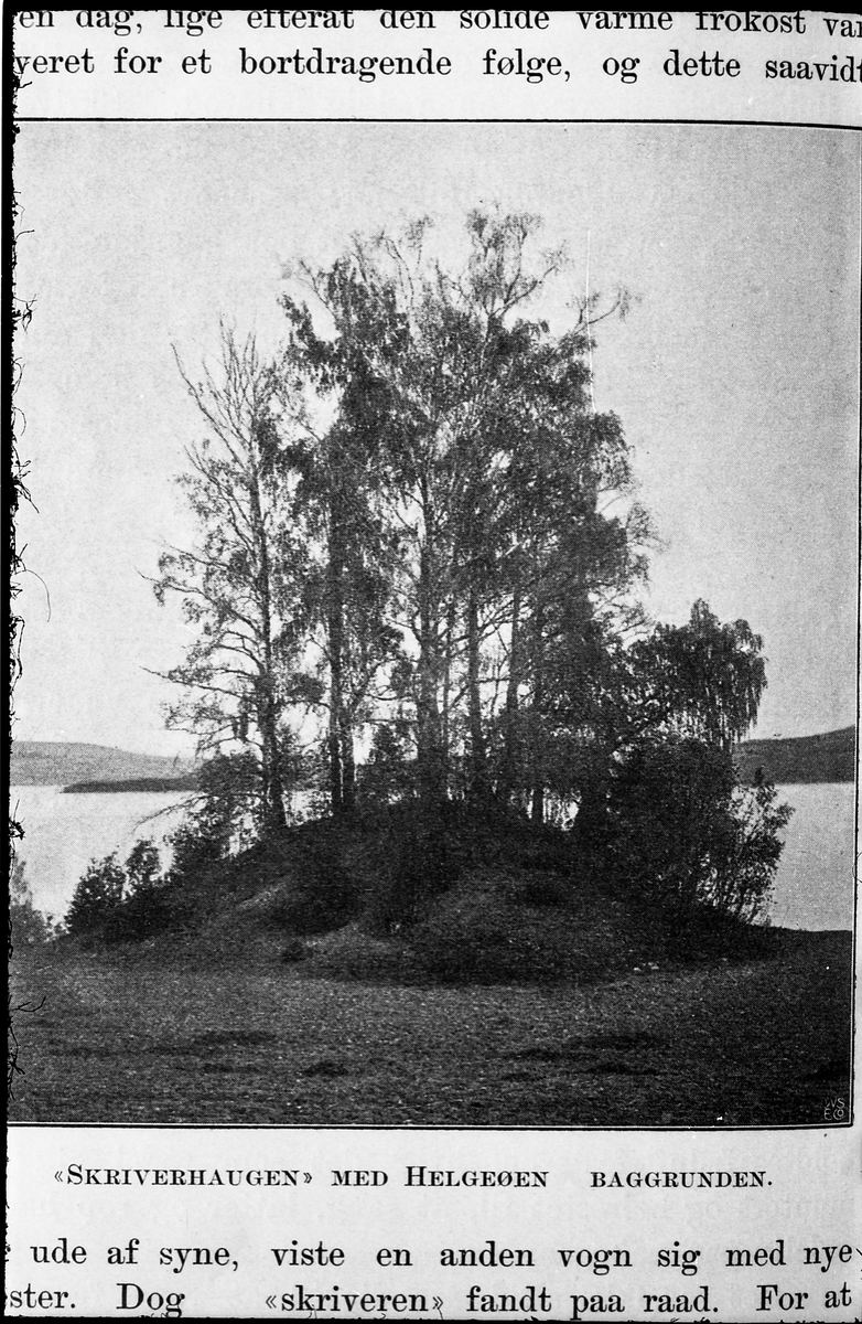 Avfotografert illustrasjon fra Jens Raabes bok "En storbygd. Kulturskildringer fra Toten." som kom ut i 1905. Dette bildet viser "Skriverhaugen" ved Billerud på Kapp. Mjøsa og Helgøya i bakgrunnen.