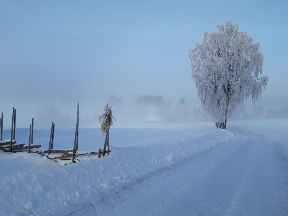 Bildet viser veien opp til tunet om vinteren.