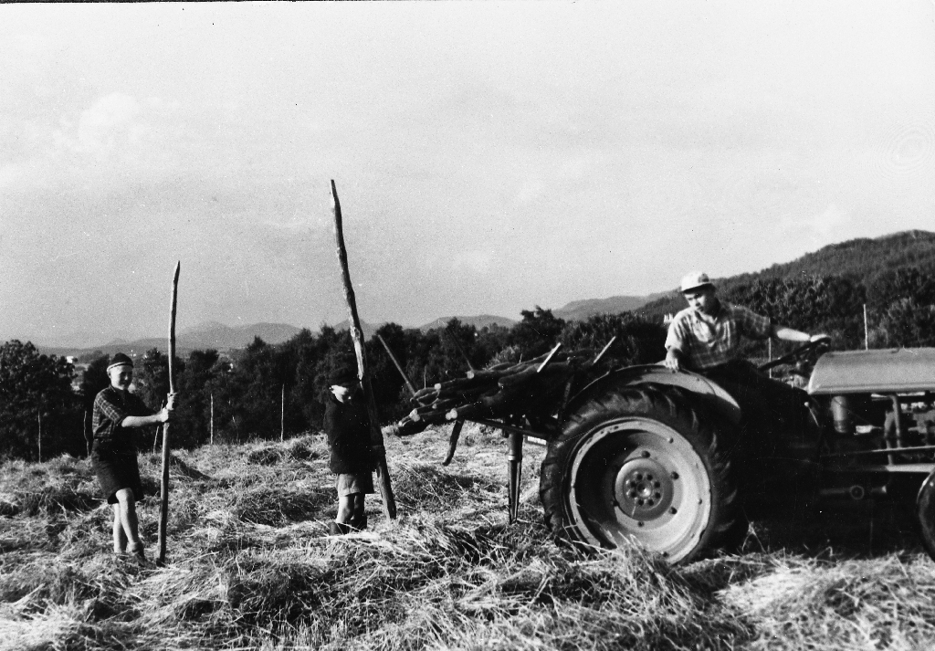 Dei set opp staur til hesje. Ole Gunnar Kverneland (1937 - ) på traktoren - Ferguson - med steinsvans (el silosvans). Dei to gutane er truleg sønene til Lars Nedrebø.