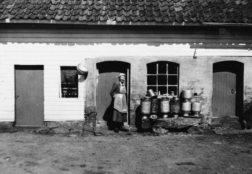 Serine Svensdtr. Njå (1883 - 1964) i fjøsdøra. Holva mjølkespann på kilt stein til venstre. Silen heng på veggen.