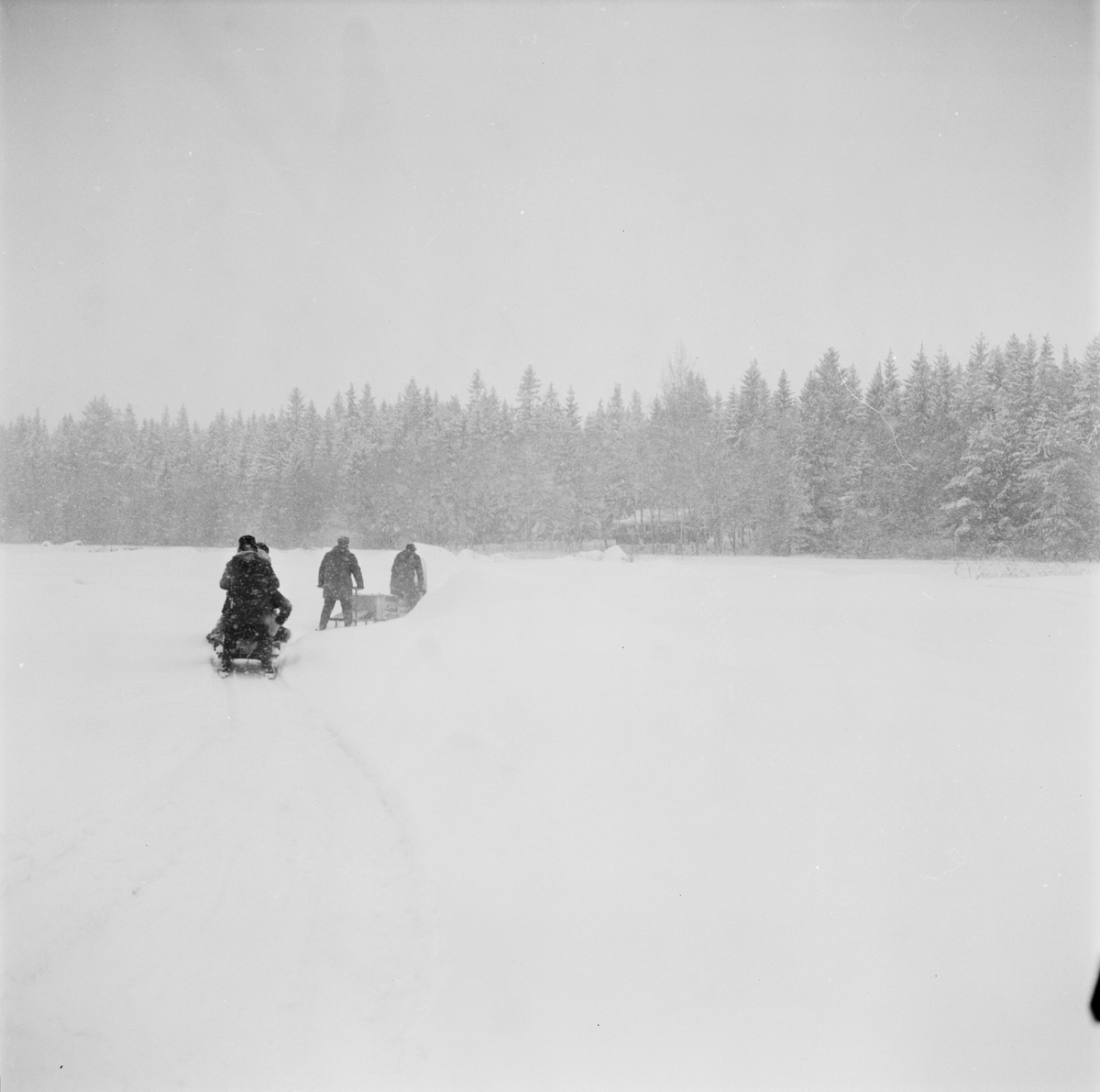 Män på snöskoter, Uppland, februari 1972