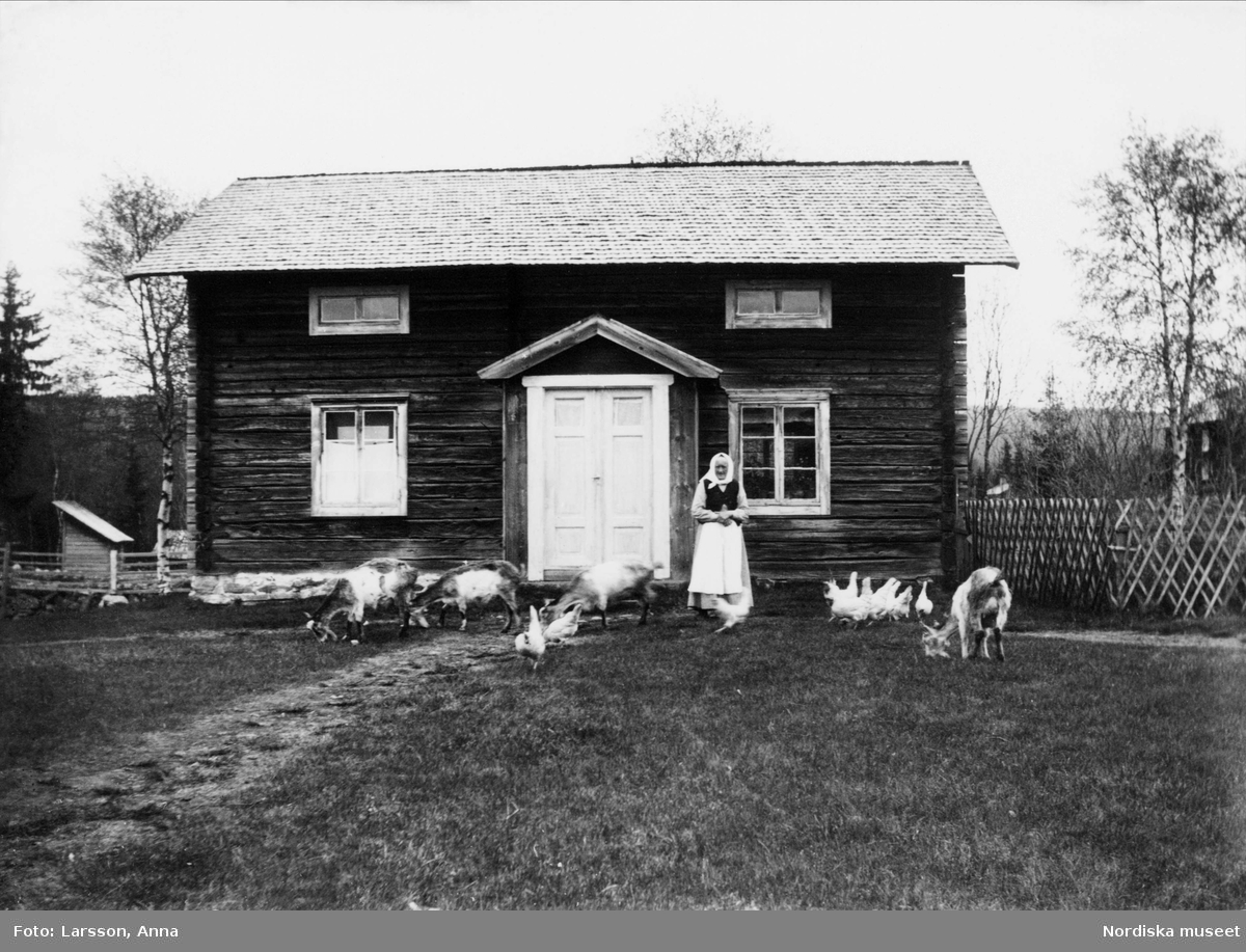 Lena Larsson V. Ärnäs. F. 1854 d. 1935, utanför boningshus med getter och höns