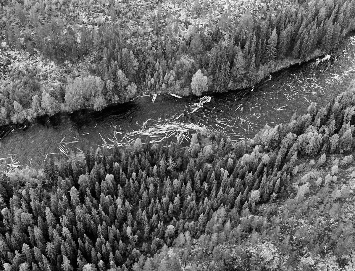 Flyfotografi av fløtingstømmer på elva Søndre Osa i Åmot i Hedmark. Bildet viser hvordan tømmerstokkene flyter i ymse retninger på et hurtigstrømmende vannspeil. Langsmed elvebreddene vokste det forholdsvis frodig skog, på moene omkring var vegetasjonen langt skrinnere. Ved Kvernfallet.