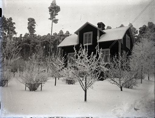 Vinterbild av bostad med köksträdgård.