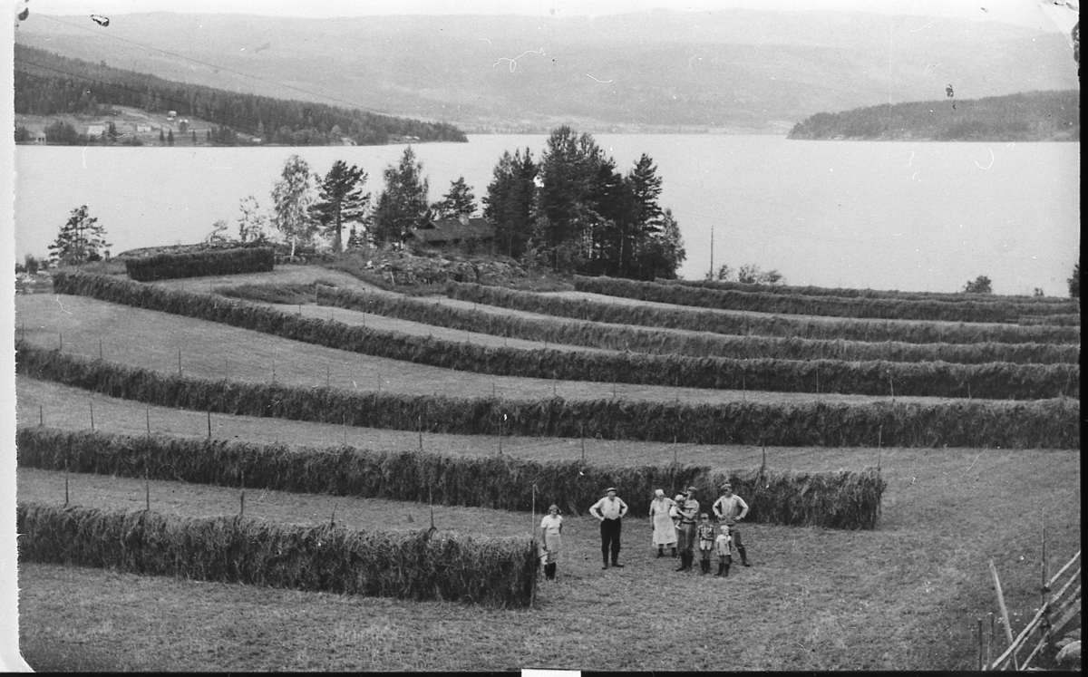 Fra slåtten i Fragått, Sigdal. Utsyn mot Soneren oppover mot Veggesrud og Strand, med Sauton til venstre. Fotografert under 2. verdenskrig.
