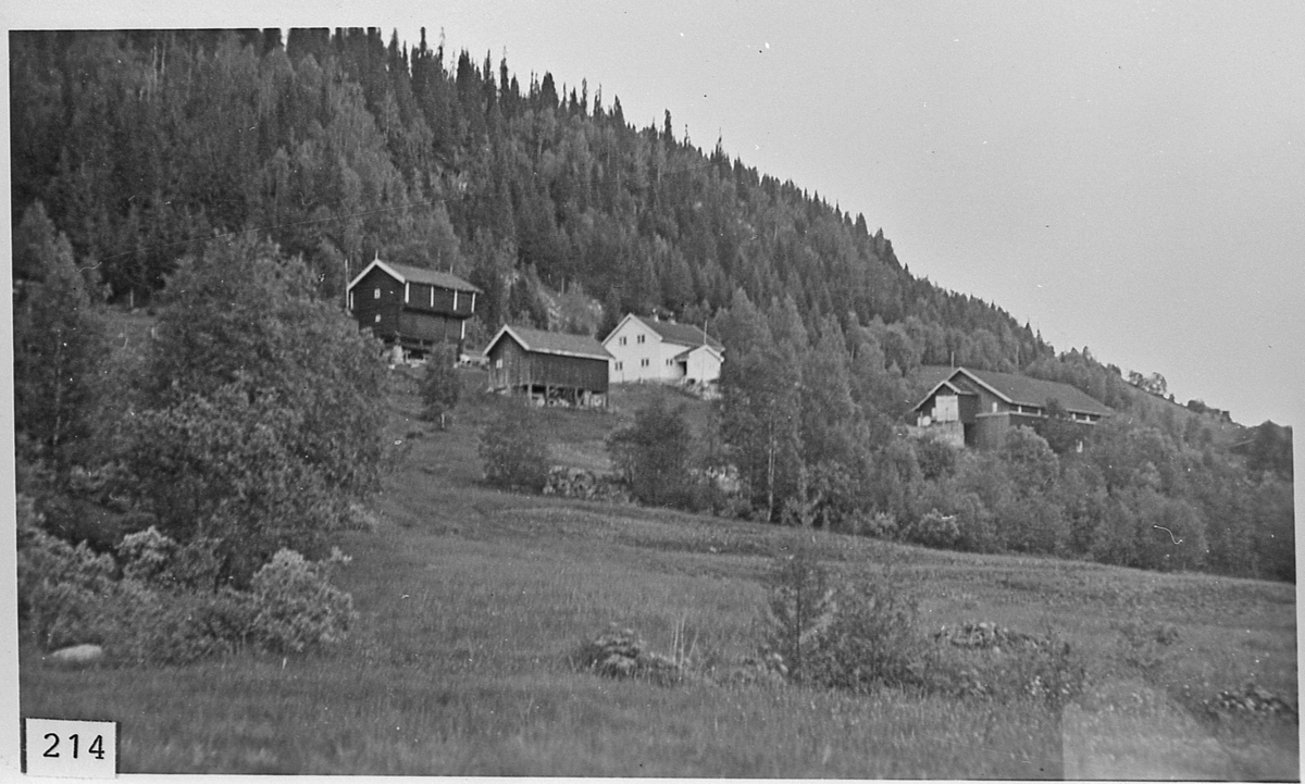 Gården Bøle i Vestbygda i Eggedal, omlag 1930.