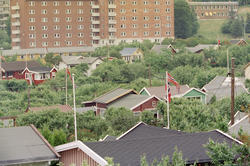 Oslo: Rodeløkka kolonihage. 27. juni 1994
