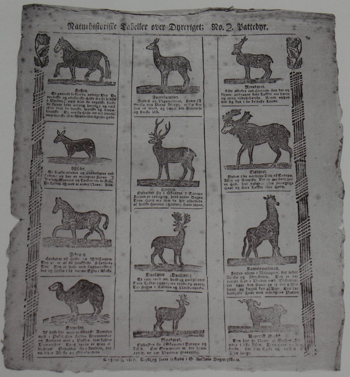 Naturhistorisk tabell med informasjon om 12 ulike pattedyr. Ti av desse er: hesten, eselet, zebraen, kamelen, hjorten, dådyret, rådyret, reinsdyret, elgdyret, og sjiraffen. Dei to andre er vanskelege å lese. Teksta er trykt med gotisk skrift i Sivert Aarflots Boktrykkeri. Tabellen er datert 1817. Sivert Aarflot (1759-1817) var ein lærar, gardbrukar, lensmann, boktrykkar og bladutgjevar i Volda på Sunnmøre. Han var den fyrste som opna boktrykkeri utanfor dei store byane i 1809. Tabellen med informasjon om pattedyra er i glas og ramme.

Kjelde:
https://nn.wikipedia.org/wiki/Sivert_Aarflot (Lesedato: 03.03.2020)