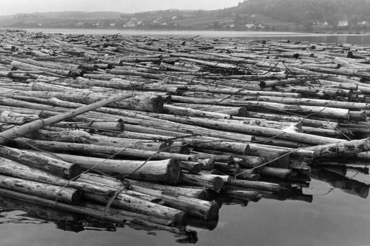 Tømmerslep som høsten 1953 lå fortøyd på innsjøen Visterflo i Tune i Østfold i påvente av det skulle bli slept til trelast- og treforedlingsbedriftene som hadde kjøpt virket.  I dette tilfellet dreide det seg om slipvirke som skulle til Tofte Cellulosefabrik i Hurum i Buskerud, noe som gjenspeiles i varierende dimensjoner og kvaliteter tyder på at dette var slipvirke.  Fotografiet viser den bakre delen av et slep, og nærmest kan vi ane hvordan virket ble holdt i hop av vaiere.  I bakgrunnen skimter vi strendene på nordsida av Visterflo med litt spredt bebyggelse. 