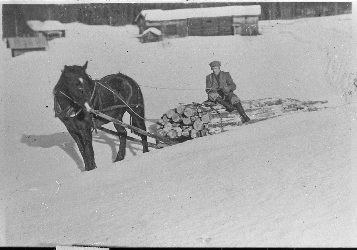 Tømmerkjøring med hest. Ellef Halstenrud. Tangen i bakgrunnen. 1943.
