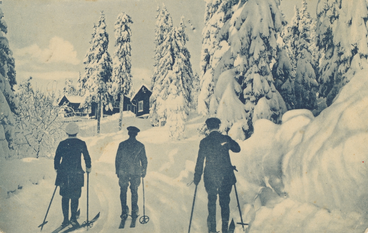 Postkortmotiv av tre skiløpere i snødekt landskap.