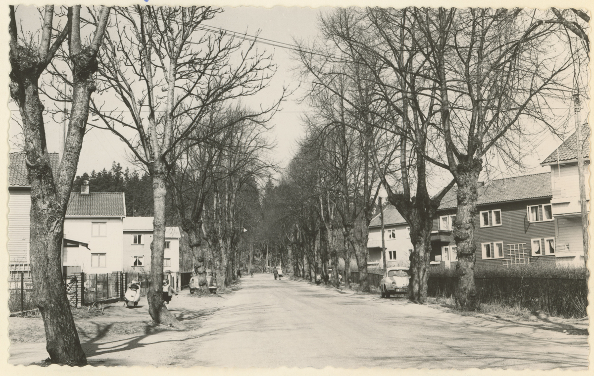 Orkerødalleen mot nord, etter utbygging.
Historikk: Moss kommune kjøpte området i 1950-årene til bruk for boligbygging.