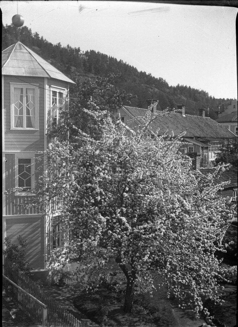 Trapphuset på baksidan av Brahegatan 39. Bakom ett blommande träd syns också baksidan av så kallade Andréegården, Brahegatan 37.