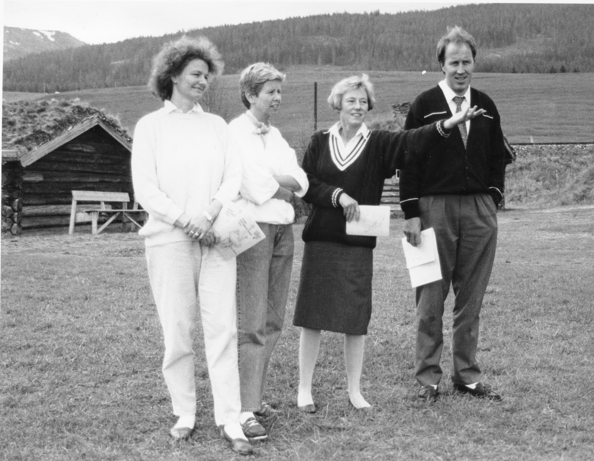Nord-Østerdalsuka 1991. Komitéen