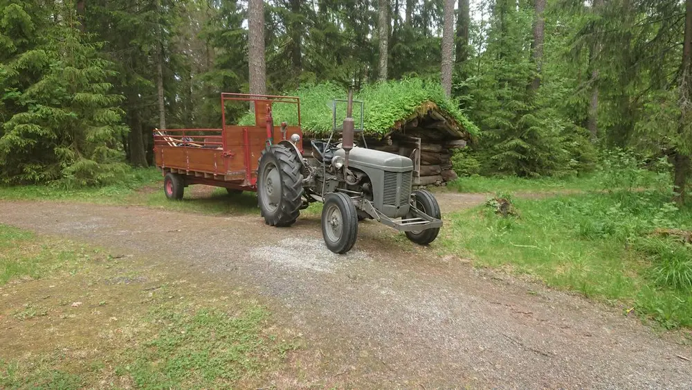 Bilde av en gråtass foran ei koie på Prestøya