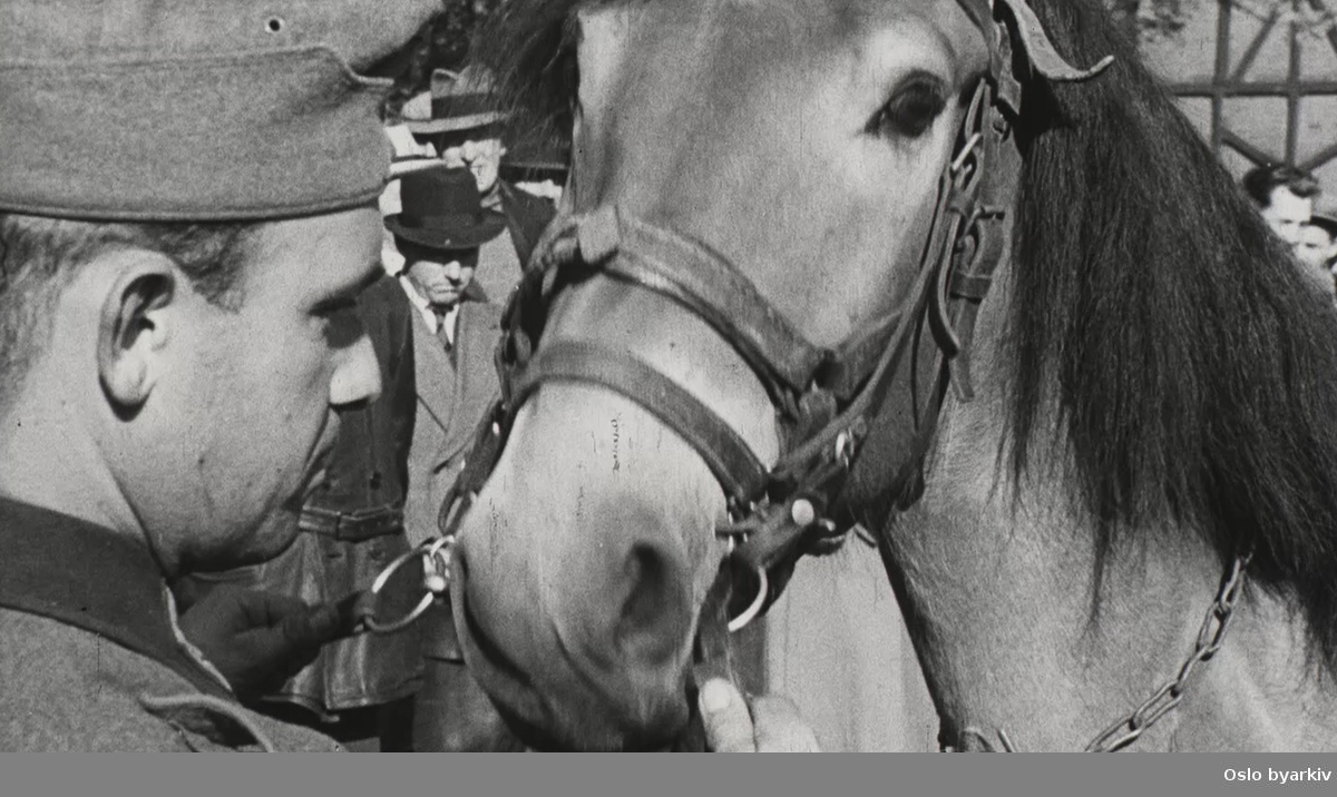 Hesteauksjon på Kontraskjæret under 2.verdenskrig. Tyske soldater og norske sivile.