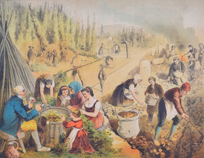 Ta en potet! - litt om potetens kulturhistorie i Norge