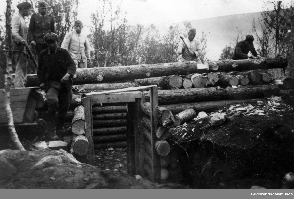 Bygging av tyske stillingar i eit område med furuskog.