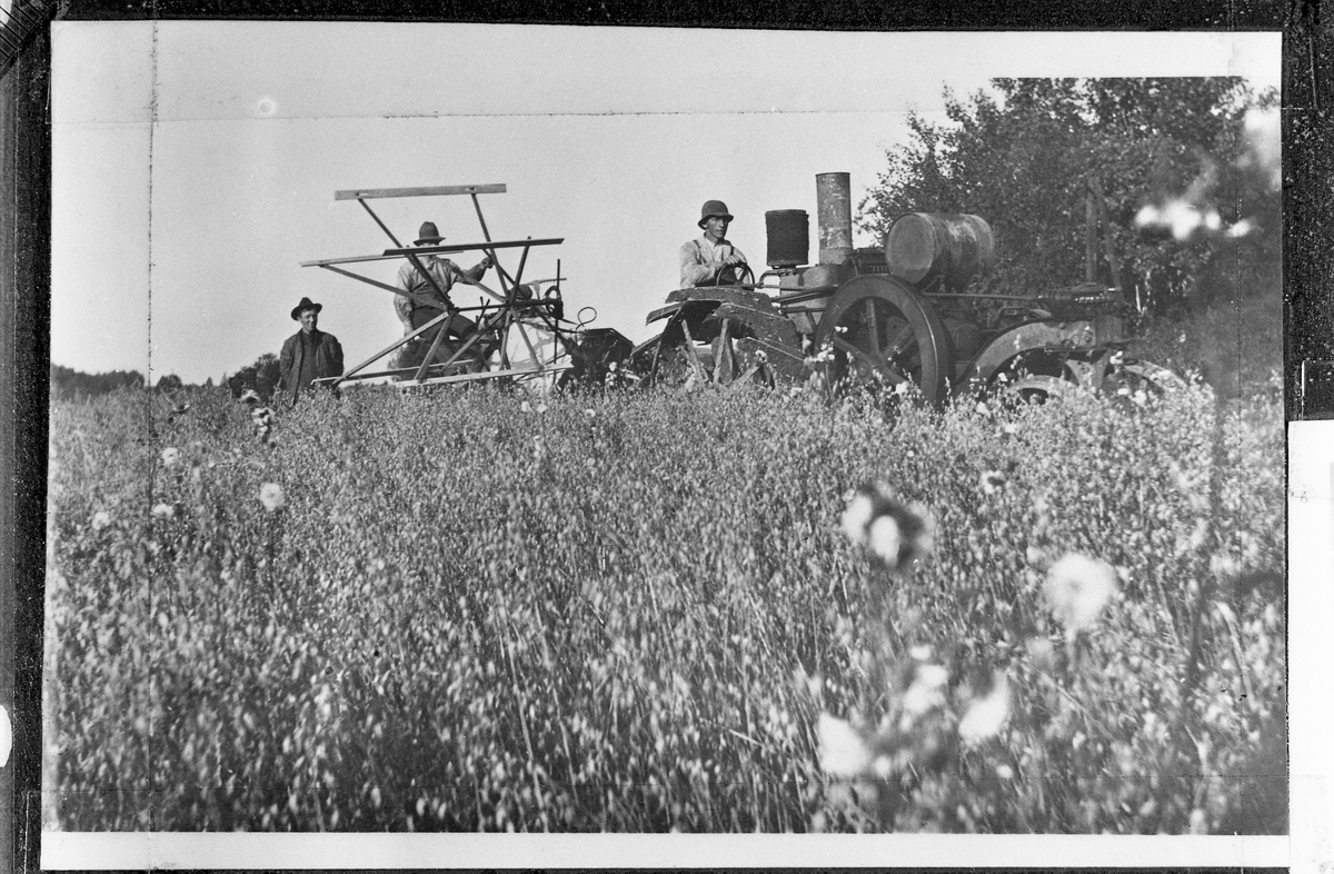 Skuronn med sjølbinder trukket av Mogul traktor, Seiersta østre på Lena 1919. Hans Seierstad sitter på traktoren, Halvard Seierstad på sjølbinderen. Bak står en montør fra Eik og Hausken.