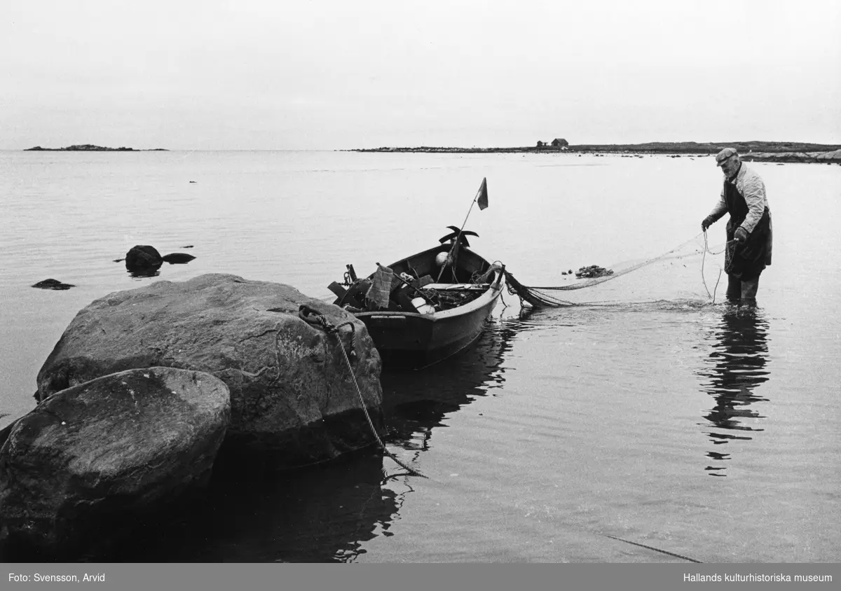 "'Bengtsa -Harry' rensar sina sillagarn när han kommit iland efter sillfisket." Båten är förtöjd vid en ring på sten. I bakgrunden syns ett par bodar på udden.