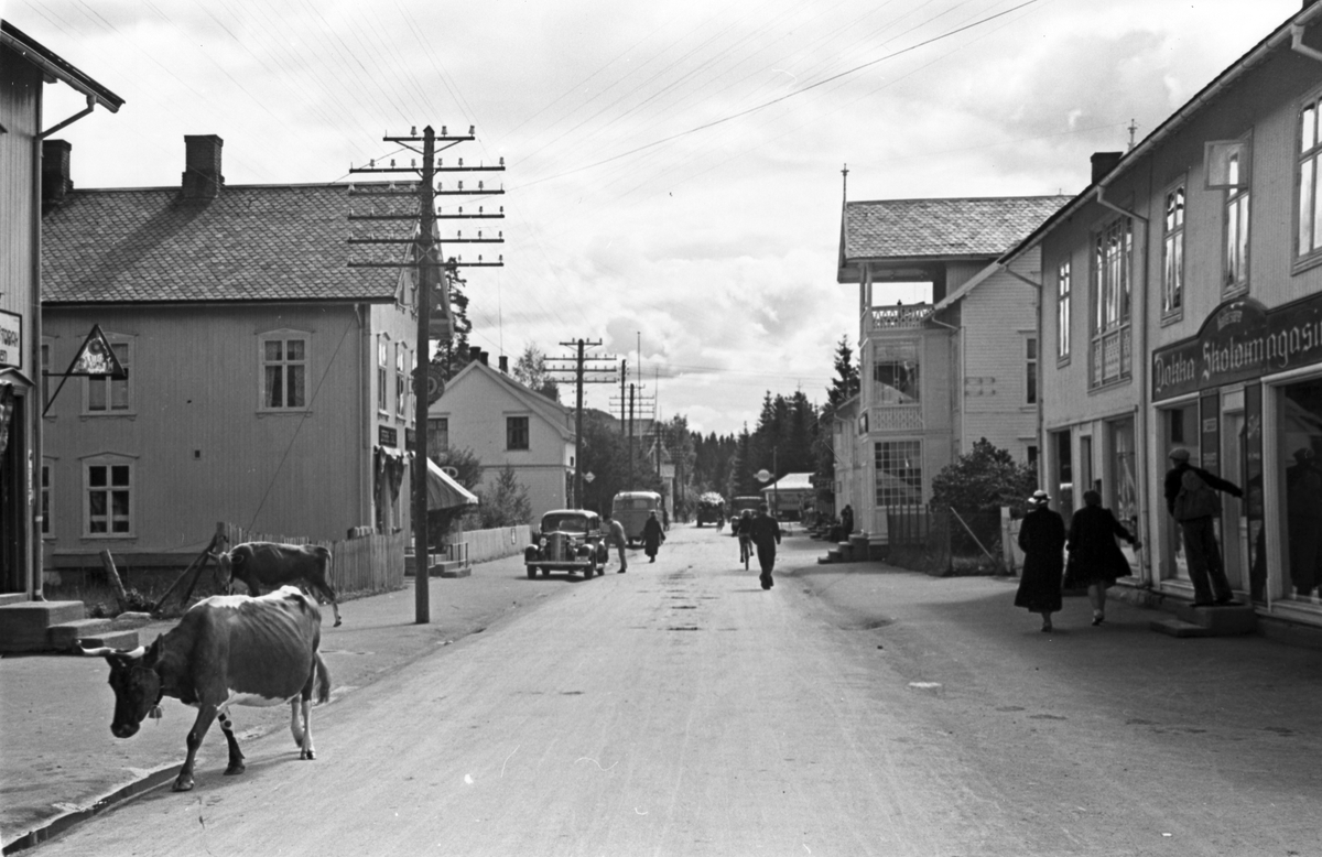 Kuer og folk i gaten i Dokka. Fotografert 1941.