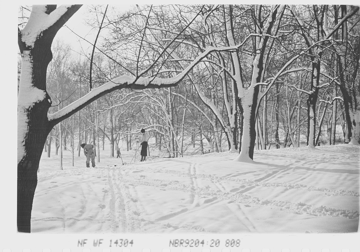 Skigåere i Slottsparken om vinteren. Fotografert 1941.