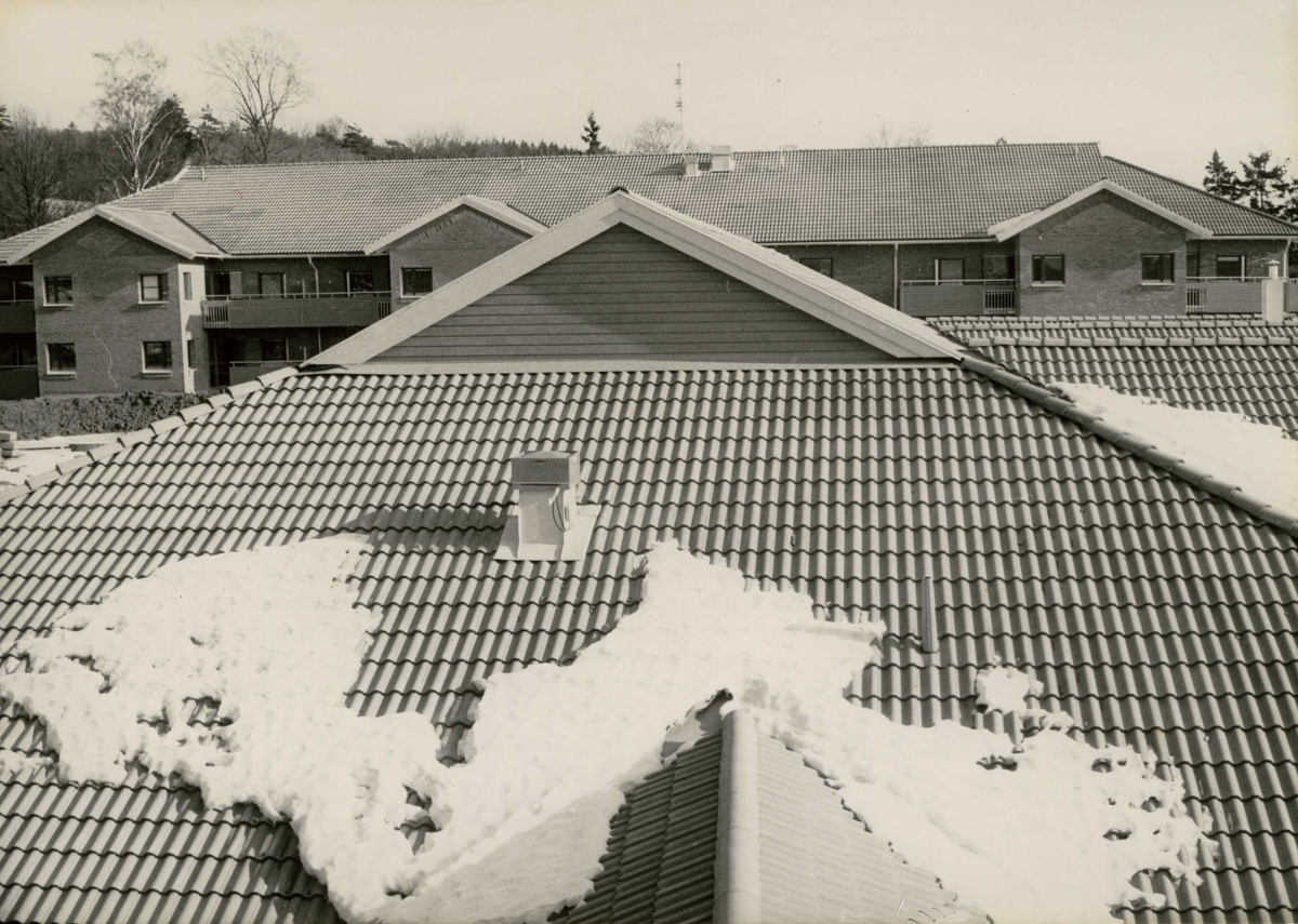Vy över Brattåsgårdens snöbetäckta takåsar år 1986.