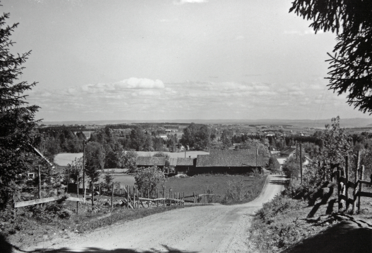 Lena og Lensbygda Mjøsmuseet / DigitaltMuseum