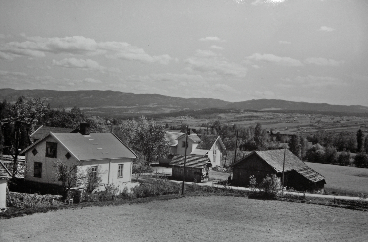 Lena og Lensbygda Mjøsmuseet / DigitaltMuseum
