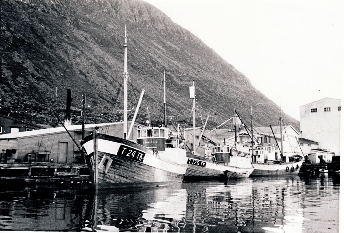 M/K "Grimsbakk", "Brottsjø" og "Isfjord" av Torsken.