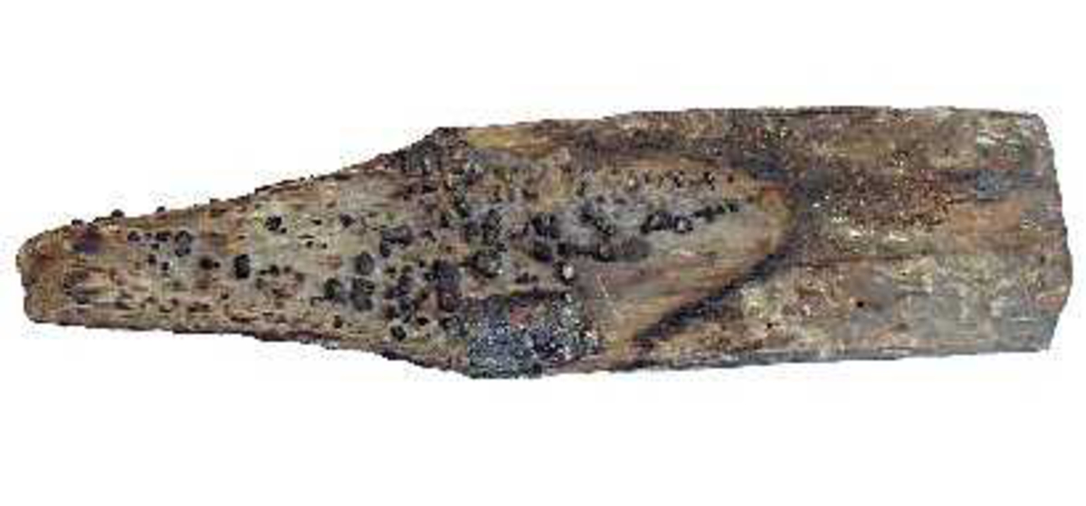 Spontekking var vanlig på mange typer hus i middelalderen. Nå er det først og fremst på stavkirkene vi finner spontak. 

Emnet til kirkespon er en rettvokst, kvistfri furukubbe på om lag en halv meter. Kubben kvartkløves i fire like deler gjennom margen på stokken. Hver fjerdedel kløyves deretter til spon på et par centimeters tykkelse. 

På Maihaugen er det en samling gamle takspon fra Ringebu stavkirke. Alle sponene er kløvd ut av stokken som forklart ovenfor. Baksiden er teljet til med øks, slik at sponen er tykkest i den nedre enden og smalner inn i overkant. Baksiden har dermed en teljet overflate, mens den siden som vender ut på taket har beholdt den kløyvde overflaten som er mer motstandsdyktig mot vann.  På en teljet eller saget overflate vil fibrene i treet være kuttet, og vann vil kunne trenge seg inn i treverket. En kløyvd overflate vil derimot følge fibrene i treet, og flaten blir vannavstøtende.  

Spontakene legges på et undertak av liggende bord. Sponene legges radvis. Hver rad forskyves med en halv sponbredde, slik at hver spon dekker mellomrommet mellom sponene under. Den søndre takflaten på Garmo stavkirke på Maihaugen ble tekket om i 1999. Da ble det benyttet spon med kløyvd overflate. Resultatet er et tak med lang levetid. Sponene har ulik bredde, noe som gir liv og variasjon i overflaten. 

Sponene fra Ringebu stavkirke varierer i størrelse. De er i underkant av 60 cm lange og mellom 8 og 17 cm brede. Øverst er de rundt 1 cm tykke, mens de er 2-3 cm tykke nederst. I nederkant er sponene spisset til. De bredeste, som er 17-19 cm brede, er teljet til to spisser. Lengden på spissen tilsvarer omlegget på spontekkinga. Omlegget varierer fra 17-27 cm. I gjennomsnitt har avstanden mellom radene har vært 2/5 av lengden på sponene. 

Det er uvisst hvor gamle sponene fra Ringebu stavkirke er, og når de ble skiftet ut. De bærer tydelig preg av mange års slitasje fra sol og regn. Store klumper med tjære viser at taket har vært tjærebredd regelmessig, noe som er svært effektivt mot råte. Når man kombinerer tjærebreing med høy materkvalitet, kan sponene ha ligget på taket i flere hundre år før de ble skiftet ut. 
