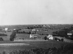 Aukra i panorama 1946.